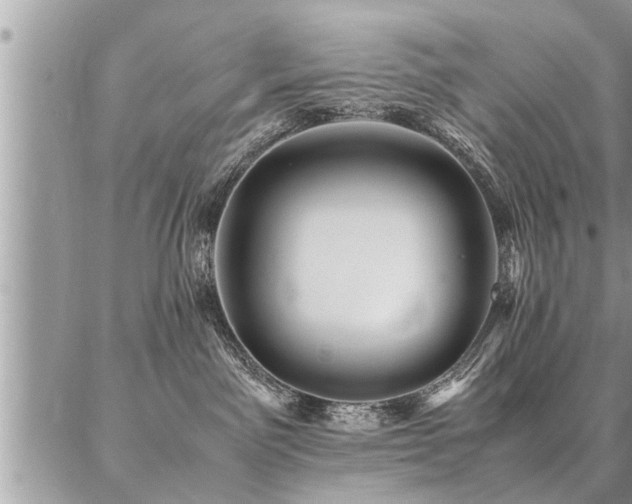 X0000087390141200704201252