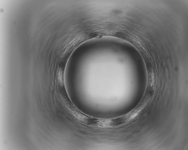 X0000087390143200704201252