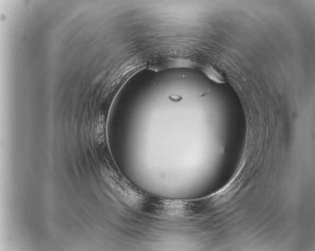 X0000087390144200704201252