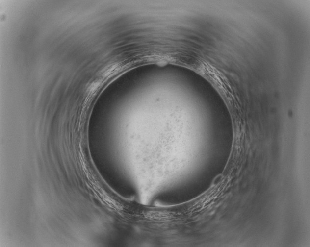 X0000087390145200704201251