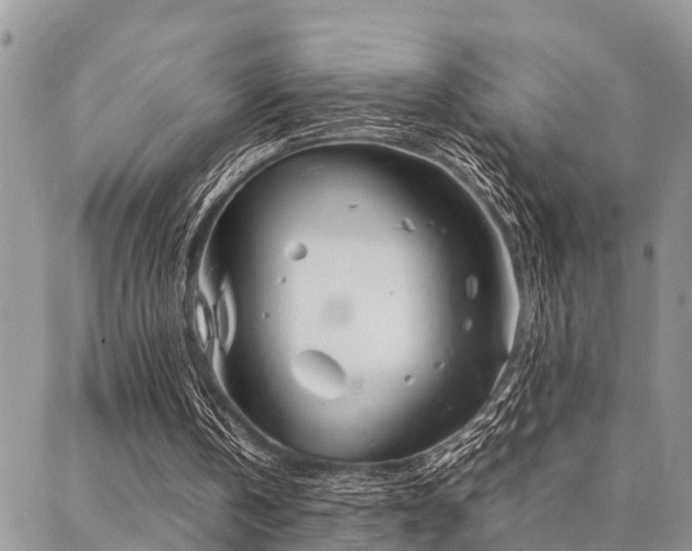 X0000087390146200704201251