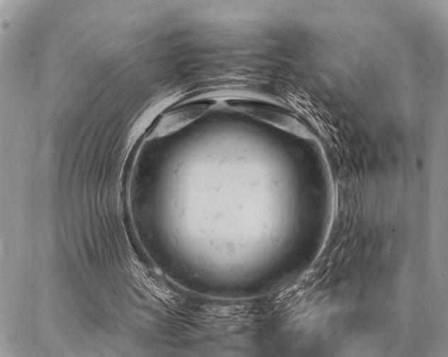 X0000087390147200704201251