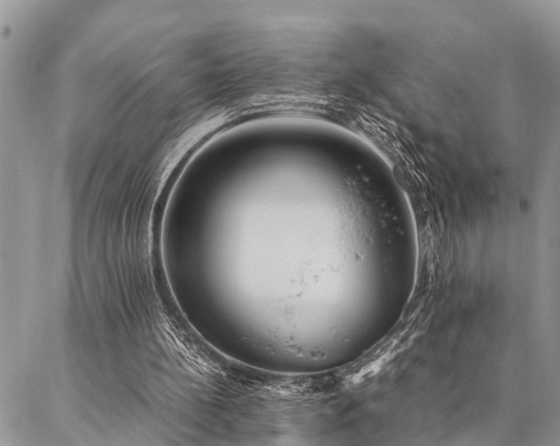 X0000087390148200704201251