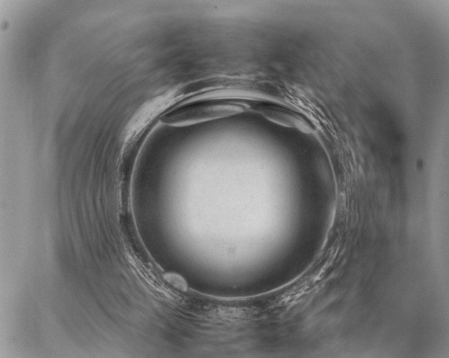 X0000087390149200704201251