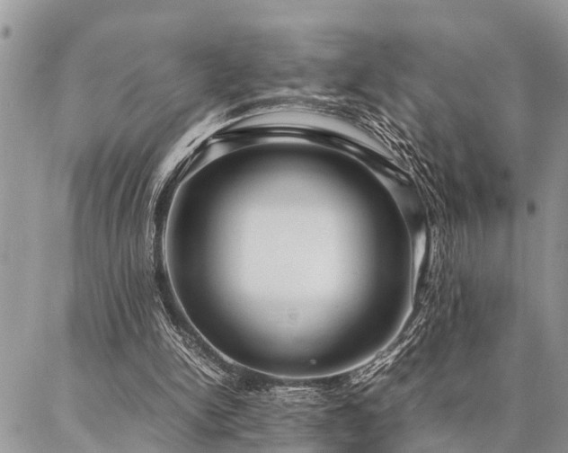 X0000087390150200704201251