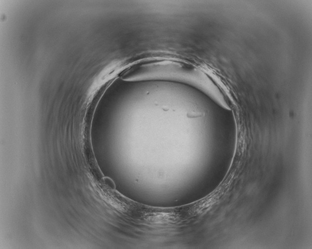 X0000087390151200704201251