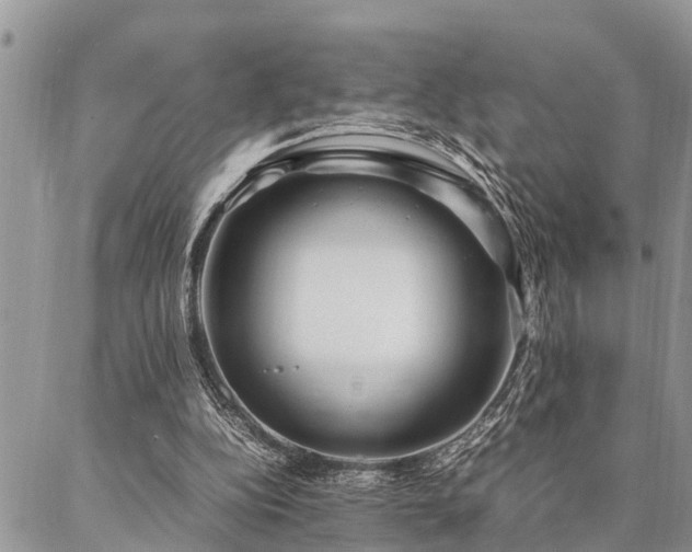 X0000087390152200704201251