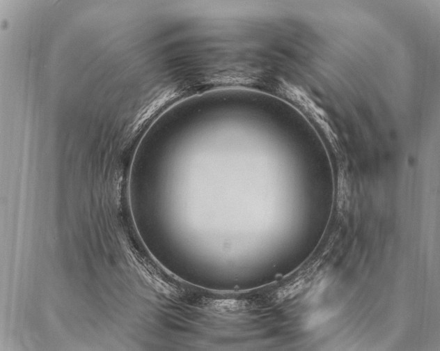 X0000087390153200704201251