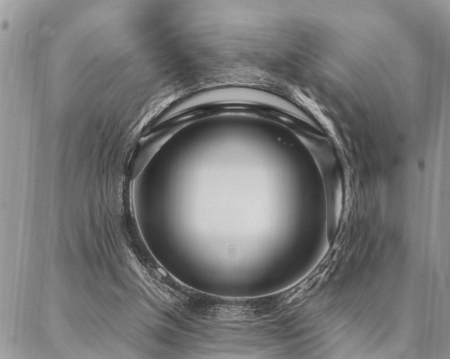 X0000087390154200704201251