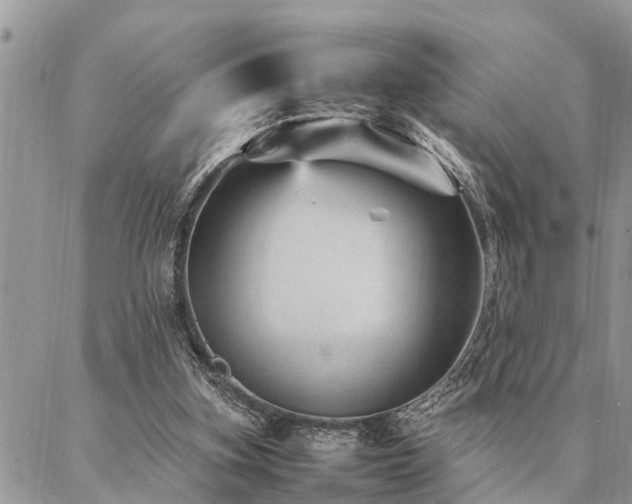 X0000087390155200704201251