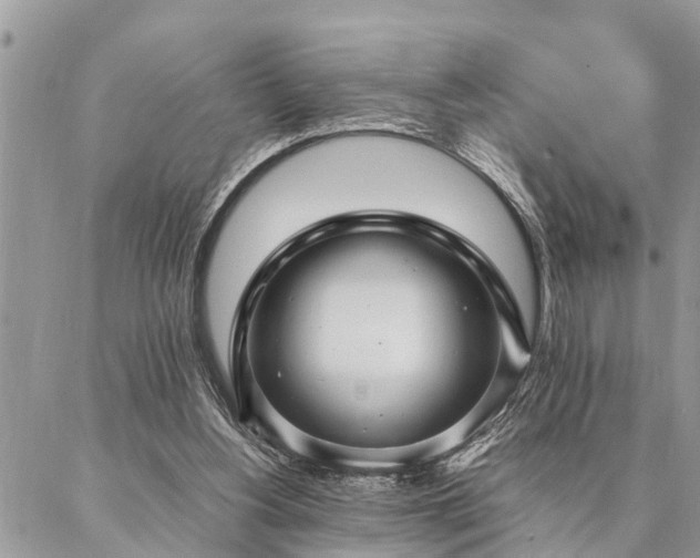 X0000087390156200704201251