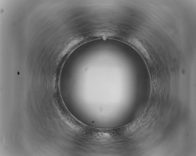 X0000087390159200704201251