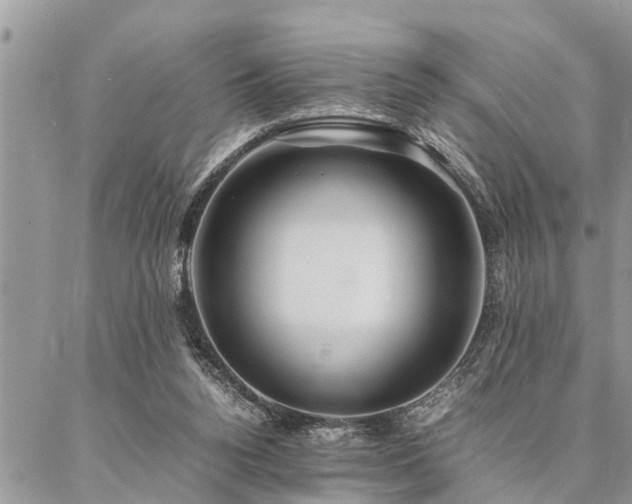 X0000087390160200704201251