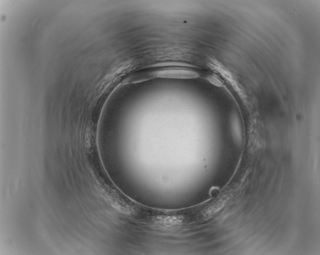 X0000087390161200704201251