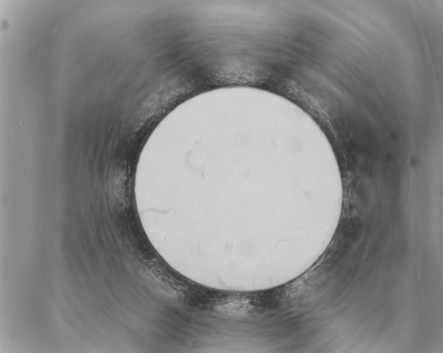 X0000087390162200704201251