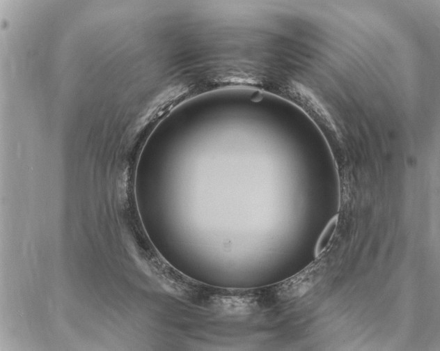 X0000087390163200704201251