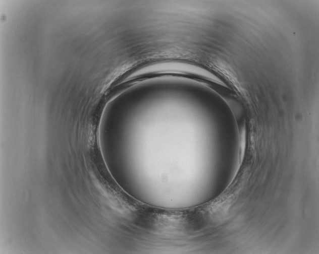 X0000087390164200704201251