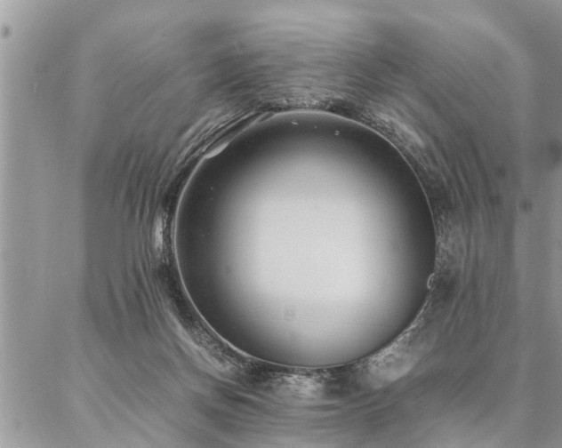 X0000087390166200704201251