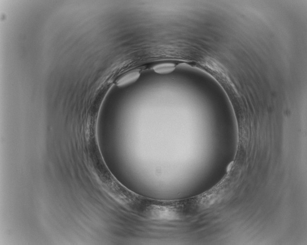 X0000087390167200704201251