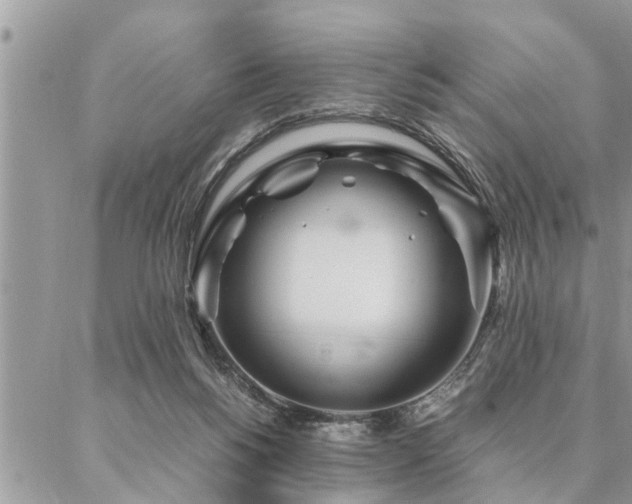 X0000087390168200704201251