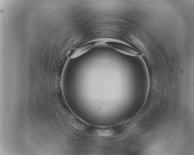 X0000087390169200704201251