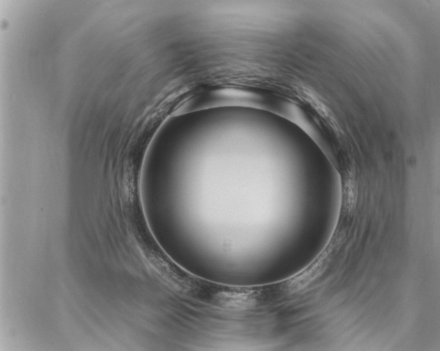 X0000087390170200704201251