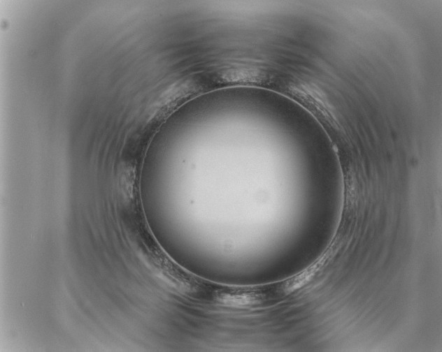 X0000087390171200704201251