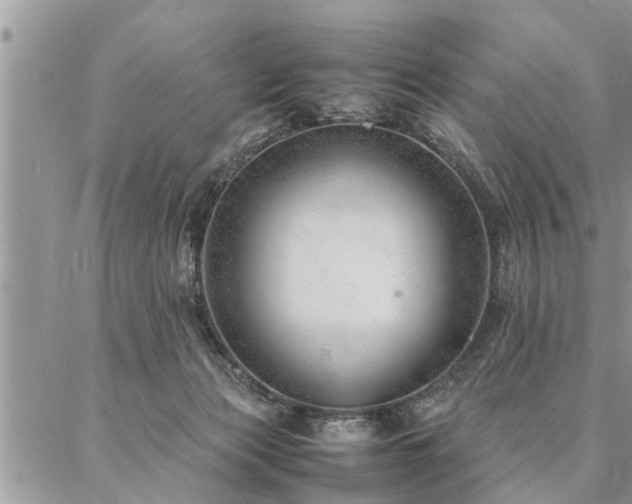 X0000087390173200704201251