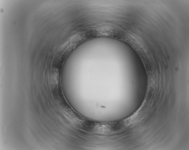 X0000087390174200704201251