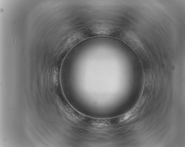 X0000087390175200704201251