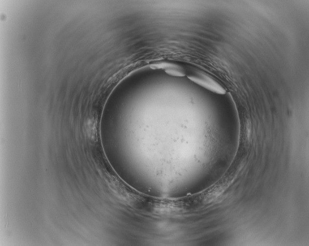 X0000087390177200704201251