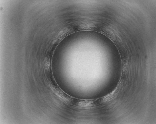 X0000087390179200704201251