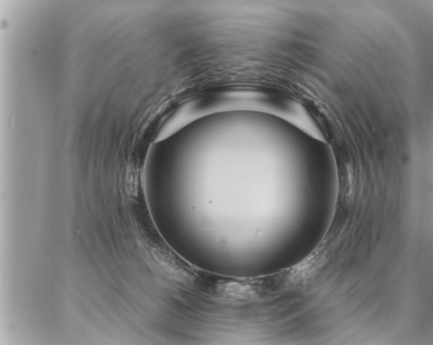 X0000087390180200704201251