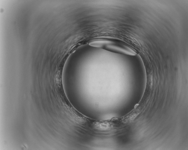 X0000087390181200704201251