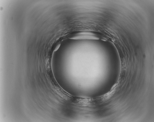 X0000087390182200704201251