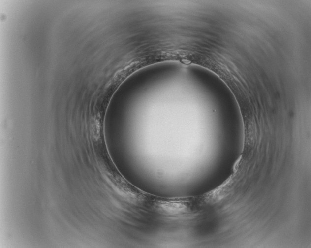 X0000087390183200704201251