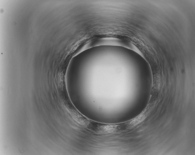 X0000087390184200704201251