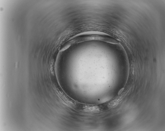 X0000087390185200704201251