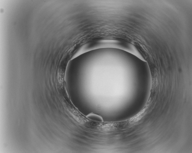 X0000087390186200704201251