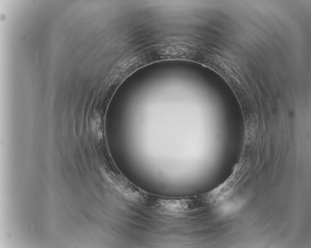 X0000087390187200704201251