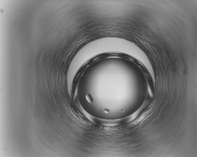 X0000087390188200704201251