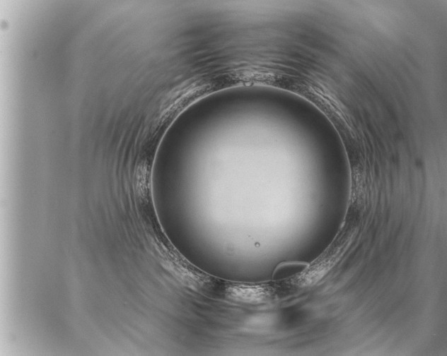 X0000087390189200704201251