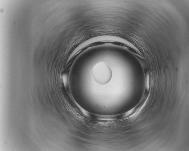 X0000087390190200704201251