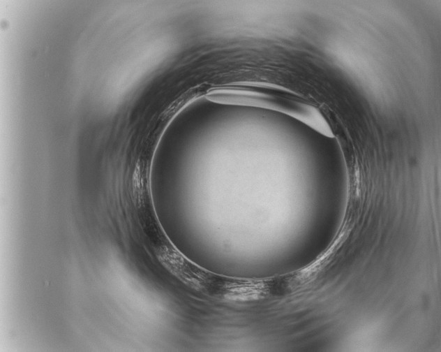 X0000087390191200704201252