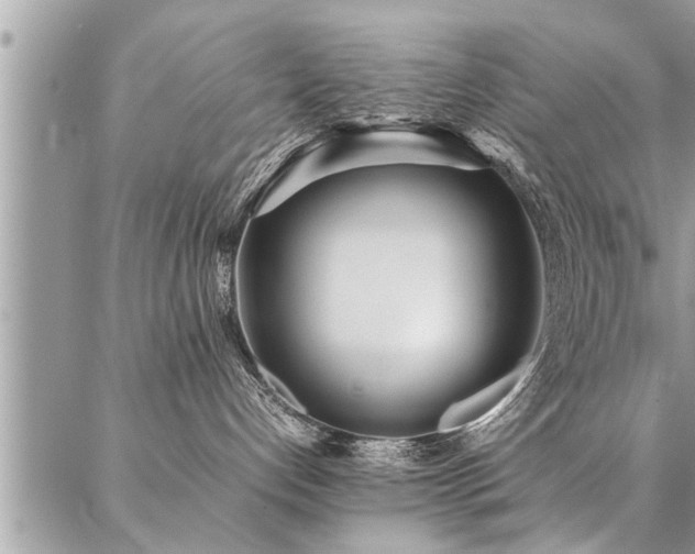 X0000087390192200704201252