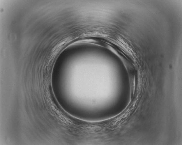 X0000087390193200704201251