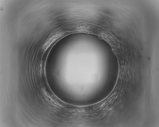 X0000087390194200704201251