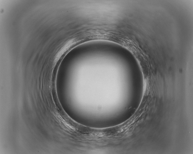 X0000087390195200704201251