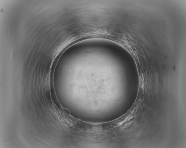 X0000087390196200704201251