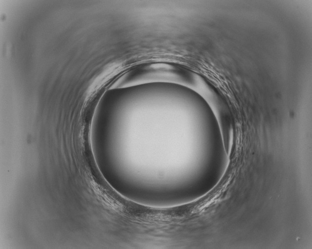 X0000087390197200704201251